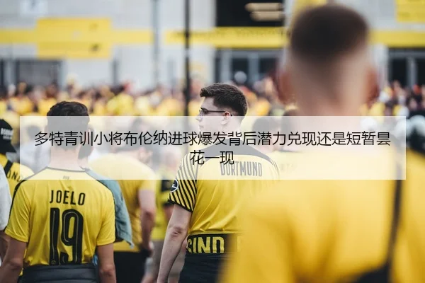 多特青训小将布伦纳进球爆发背后潜力兑现还是短暂昙花一现